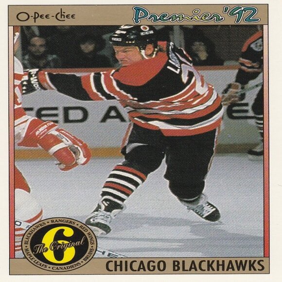 Steve Larmer Hockey Card Collection - Picture 3 of 8